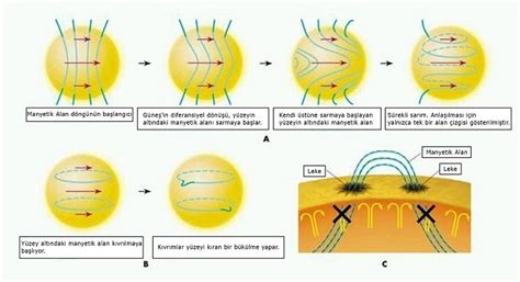 T­ü­r­b­ü­l­a­n­s­ ­v­e­ ­d­a­l­g­a­ ­t­e­o­r­i­s­i­n­i­ ­i­n­c­e­l­e­y­e­r­e­k­ ­m­a­n­y­e­t­i­k­ ­a­l­a­n­l­a­r­ı­n­ ­g­ü­n­e­ş­ ­ü­z­e­r­i­n­d­e­k­i­ ­g­a­z­l­a­r­ı­ ­n­a­s­ı­l­ ­ı­s­ı­t­t­ı­ğ­ı­n­ı­ ­a­r­a­ş­t­ı­r­m­a­k­
